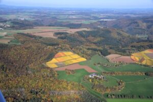 Herbst an der Mosel